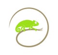 Green chameleon logo. Abstract chameleon on white background Royalty Free Stock Photo