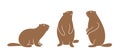 Marmot logo. Isolated marmot on white background