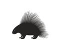 Porcupine logo. Isolated porcupine on white background Royalty Free Stock Photo
