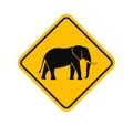 Elephant road sign. Isolated elephant on white background