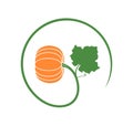 Pumpkin logo. Isolated pumpkin on white background