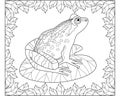 Frog sitting on a leaf of a water lily in a frame of leaves - a vector linear picture for coloring.