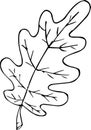 Graphic image of an oak leaf