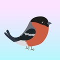 Cute Eurasian bullfinch bird illustration. The background is soft blue pink gradient Royalty Free Stock Photo