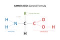 The general formula for an Amino Acid.