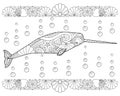 Narwhal with shell borders - vector linear picture for coloring.