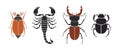 Beetle deer. Hercules beetle. bug set