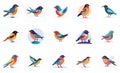 Sets of colorful bird icons. white background Royalty Free Stock Photo