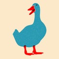 Duck, goose. Vector illustration with Riso print effect