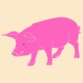 Pink pig. Vector illustration in a minimalist style with Riso print effect.