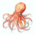 Octopus hand-drawn Royalty Free Stock Photo