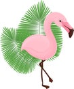 illustration cartoon flamingos