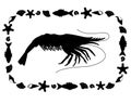 Shrimp marine crustacean animal silhouette in a rectangular frame - vector template for print or cut.