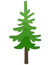 Spruce, coniferous evergreen tree - vector full-color image. Christmas tree