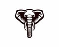 elephant head mascot logo design template Royalty Free Stock Photo