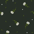 Vector seamless floral pattern. Wild flowers yarrow.