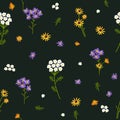 Vector seamless pattern. Wildflowers on a dark background.