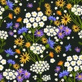 Vector seamless pattern. Wildflowers on a dark background.
