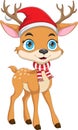 cartoon deer wearing a hat and scarf