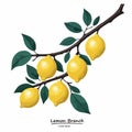 Vintage lemon branch