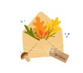 Autumn leaves in the postal envelope.
