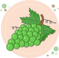 Sweet green grape in flat design