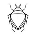 Hand-Drawn Insect Doodle Illustration For Coloring Book