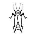 Hand-Drawn Insect Doodle Illustration For Coloring Book