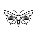 Hand-Drawn Insect Doodle Illustration For Coloring Book