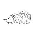 Hand-drawn adorable hedgehog