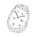 Hand-drawn adorable hedgehog