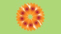 FLOWER - COLORFUL FLOWER colored background - Web graphics and digital designs