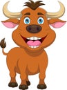 cute baby bull cartoon