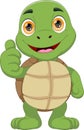 cute turtle thumbs up cartoon