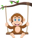 Cute monkey playing on swing cartoon Royalty Free Stock Photo
