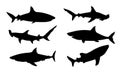 Shark silhouette vector illustration Royalty Free Stock Photo