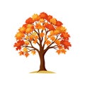 Autumn Maple Tree Vector Art with Colorful Leaves Royalty Free Stock Photo