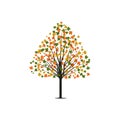 Autumn Maple Tree Vector Art with Colorful Leaves Royalty Free Stock Photo