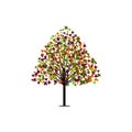 Autumn Maple Tree Vector Art with Colorful Leaves Royalty Free Stock Photo