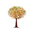 Autumn Maple Tree Vector Art with Colorful Leaves Royalty Free Stock Photo