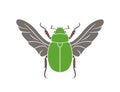 Scarab beetle logo. Isolated scarab beetle on white background. Flying scarab beetle Royalty Free Stock Photo