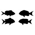 Fish Silhouette Bundle â Vector Collection of 4 Unique Fish Designs for Creative Projects. Royalty Free Stock Photo
