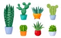 Vector illustration of seven potted succulents and cacti Royalty Free Stock Photo