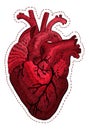 Realistic anatomical heart in the style of a sticker and embroidery on black fabric with stitches from threads. Royalty Free Stock Photo