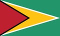 Flag of Guyana. Guyana flag official colors and proportion digital vector illustration. Royalty Free Stock Photo
