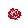 Red rose icon Royalty Free Stock Photo