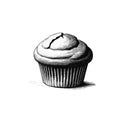 Muffin vector. Vintage style sketch Royalty Free Stock Photo