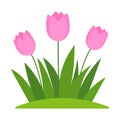 Cartoon Flat Pink Flowers In Green Grass, Isolated On White Background Royalty Free Stock Photo