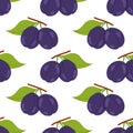 Seamless pattern with two ripe purple plums with green leaf on branch. For fabric, background, textile or packaging Royalty Free Stock Photo