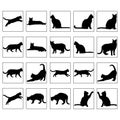 Cat Silhouette Vector Set, Domestic Pet Animal Silhouettes Bundle Royalty Free Stock Photo